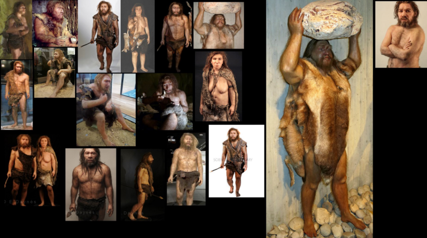 Neanderthal anatomy La chapelle aux saints atelier daynes